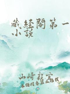 藏经阁第一版主小说