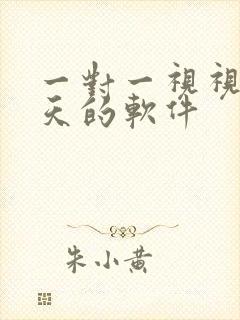 一对一视视频聊天的软件