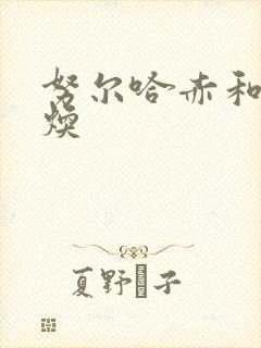 努尔哈赤和袁崇焕