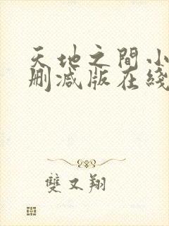 天地之间小说无删减版在线阅读