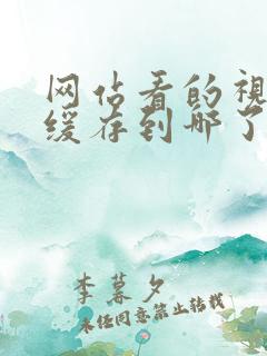 网站看的视频都缓存到哪了