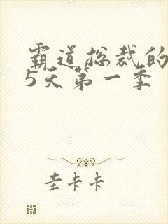 霸道总裁的365天第一季