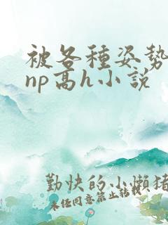 被各种姿势玩弄np高h小说