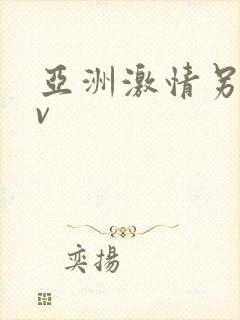 亚洲激情另类av