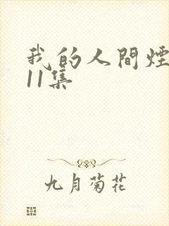 我的人间烟火第11集