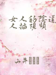 女人的阴道给男人插视频