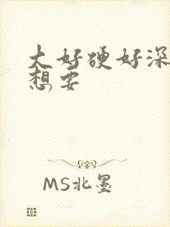 大好硬好深好爽想要