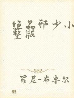 绝品邪少小说完整版