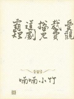 霸道总裁爱上鸟短剧免费观看