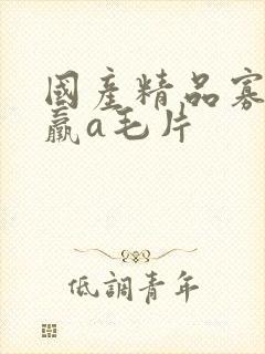 国产精品寡妇乱羸a毛片