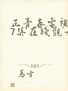 正青春电视剧47集在线观看免费