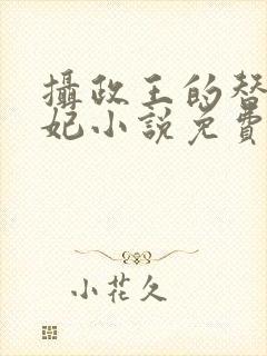 摄政王的替嫁王妃小说免费阅读