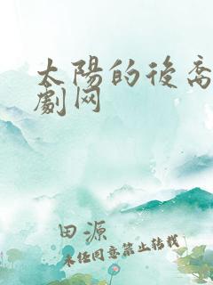 太阳的后裔 韩剧网