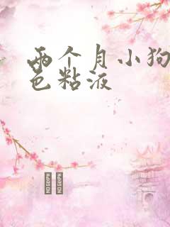 两个月小狗吐白色粘液