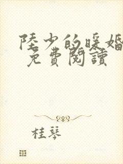 陆少的暖婚新妻 免费阅读