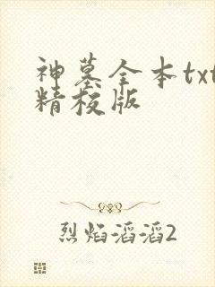 神墓全本txt精校版