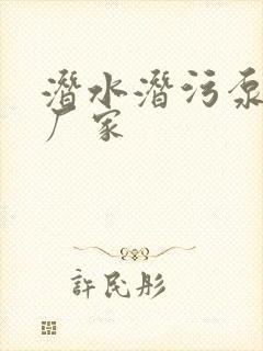 潜水潜污泵生产厂家