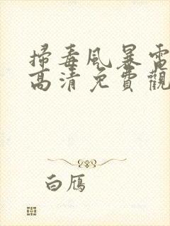 扫毒风暴电视剧高清免费观看全集