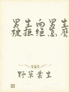 男生向男生表白被拒绝怎么办