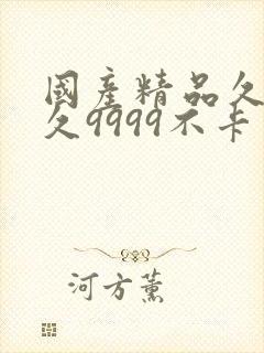 国产精品久久久久9999不卡