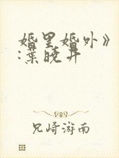 婚里婚外》作者:叶晓井