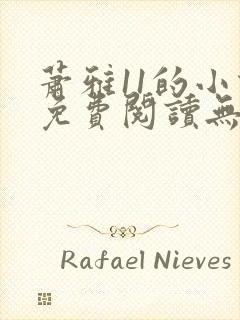 萧雅11的小说免费阅读无弹窗最新章节