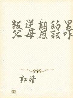 叛逆期的男孩打父母应该咋办