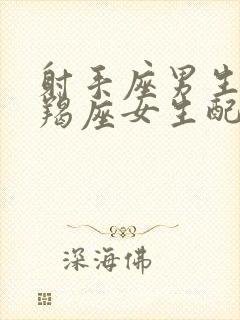 射手座男生和摩羯座女生配对指数