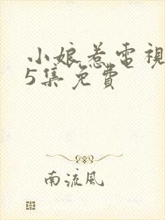 小娘惹电视剧45集免费