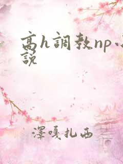 高h调教np小说