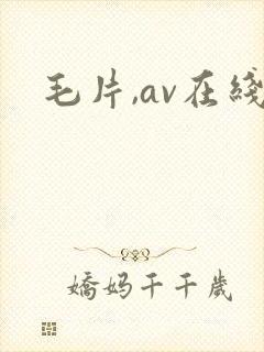 毛片,av在线