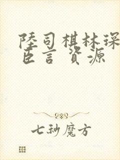 陆司棋林琛番外臣言 资源