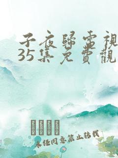 子夜归电视剧第35集免费观看