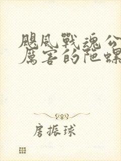 飓风战魂公认最厉害的陀螺