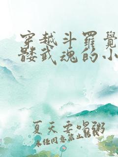 穿越斗罗觉醒骷髅武魂的小说