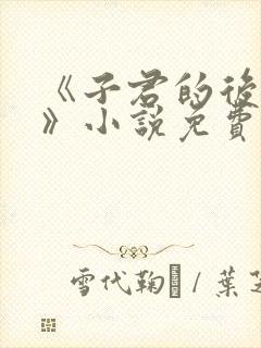 《子君的后半生》小说免费阅读