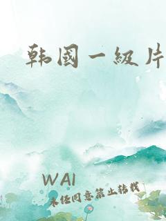 韩国一级片黄