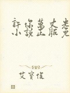 许你万丈光芒好小说正版免费