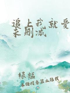 追上我就爱上你未删减