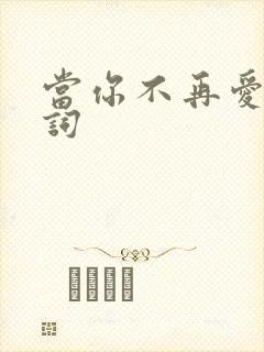 当你不再爱我歌词