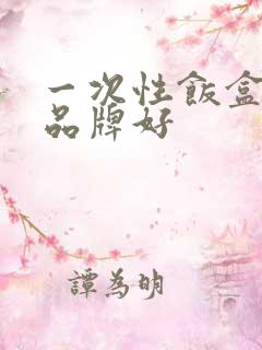 一次性饭盒哪个品牌好