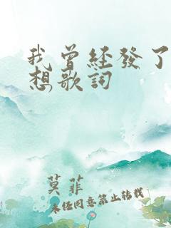 我曾经发了疯的想歌词