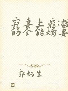 宠妻上瘾:总裁的全能娇妻