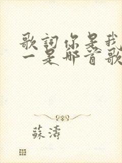 歌词你是我的唯一是哪首歌的歌词