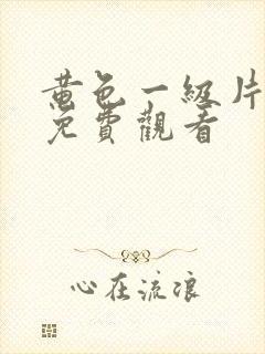 黄色一级片在线免费观看