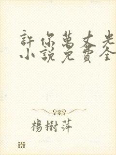 许你万丈光芒好小说免费全文阅读