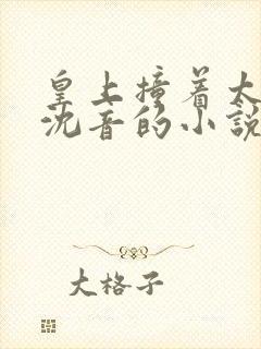 皇上撞着太子妃沈音的小说叫什么