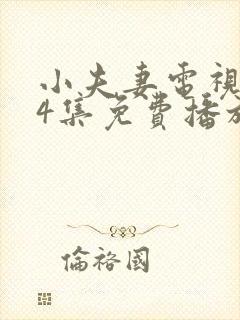 小夫妻电视剧24集免费播放