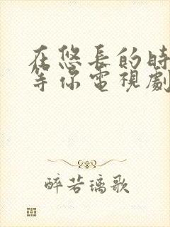 在悠长的时光里等你电视剧在线播放