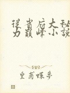 从省府大秘到权力巅峰小说免费阅读